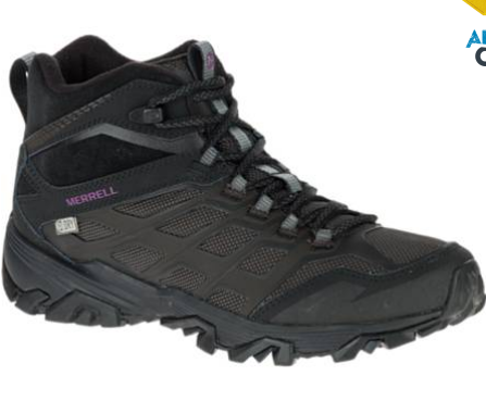 Sample of a Merrell Shoe